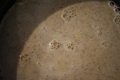 Lait et vanille